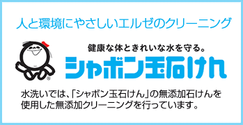 ホームクリーニング事業